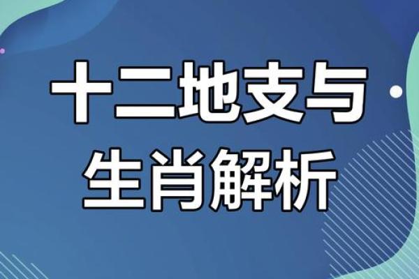 地支子与属相之间的神秘纽带