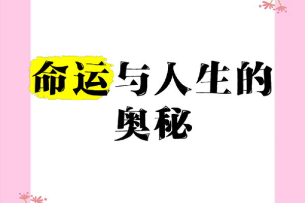 命理秘籍：揭秘命运背后的神秘力量