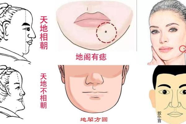下巴痣相图谱，男性运势解析宝典！
