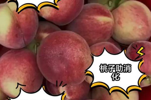 探索桃用名字背后的文化故事