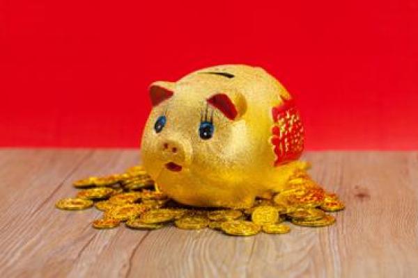 金猪闹新春，福运连连好运来！