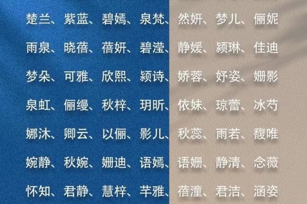 名字里的文化韵味：旺旺宝宝取名的艺术