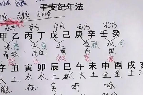 如何通过生辰八字找到最适合你的命运轨迹
