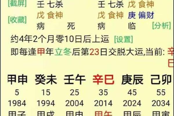 正官地支的含义与作用