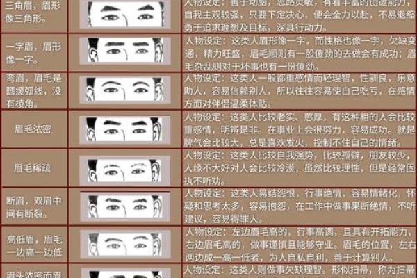 面部风水学中的眉毛解析与布局指南