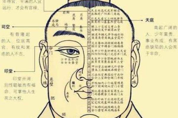 面相解析：创业成功者的神秘面相密码