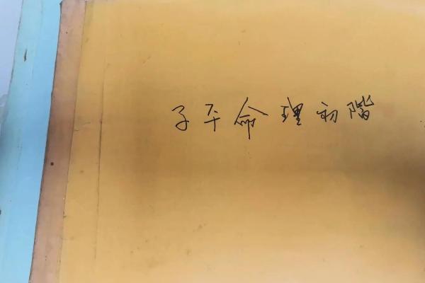 财运亨通的秘密：朱鹊桥命理3深度解析
