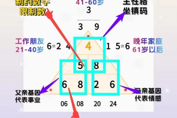 螺旋命运线,揭秘你的生命轨迹 螺旋命运线,揭秘你的生命轨迹