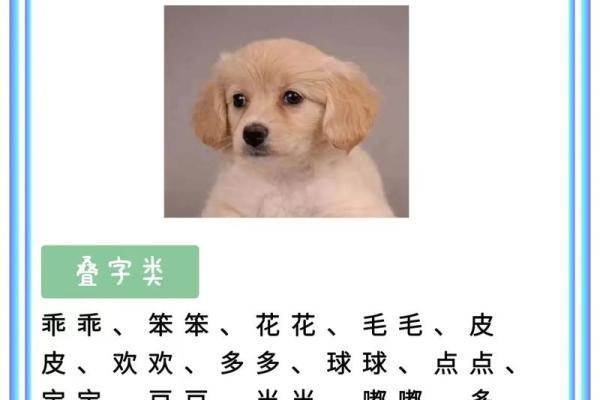 狗年宝宝女孩名字精选