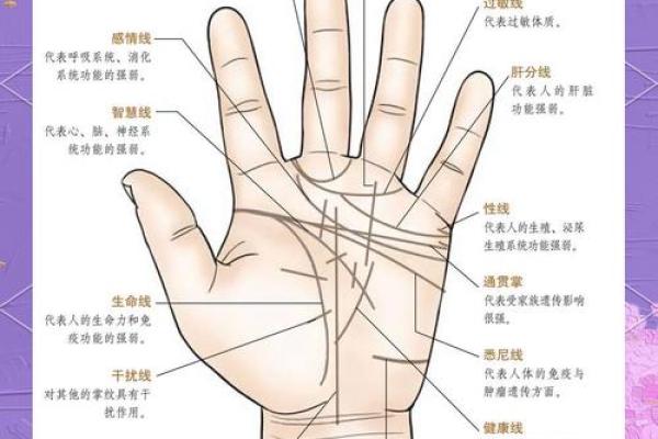 漩涡掌纹揭秘：命运之轮转动，你的人生轨迹何在？