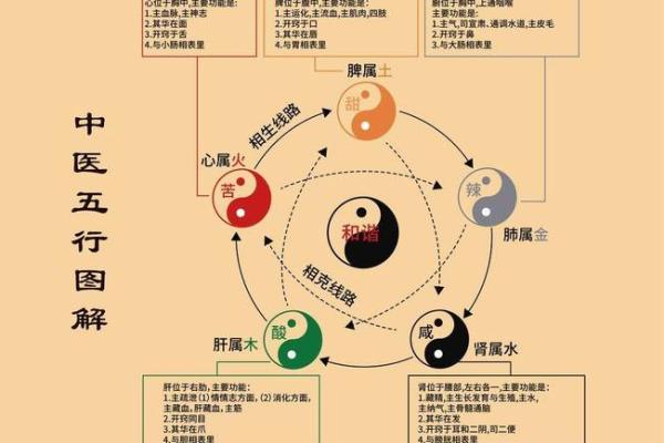 探讨心脏与五行的关系