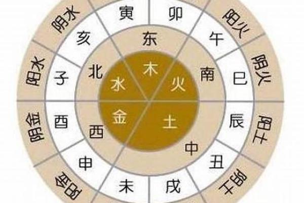 水火相冲：地支中的命运之辩