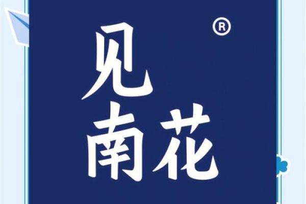 继字入名，传承与创新的完美结吿