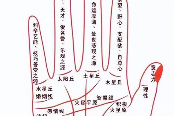 手相揭秘：看透你的婚姻命运，准到让你惊叹！