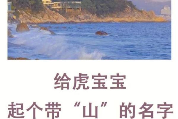 煌煌名字背后的深远寓愿