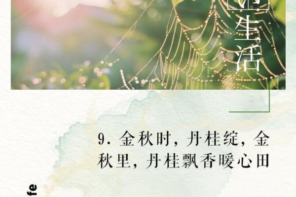 金秋送爽丹桂香，中秋团圆乐融融