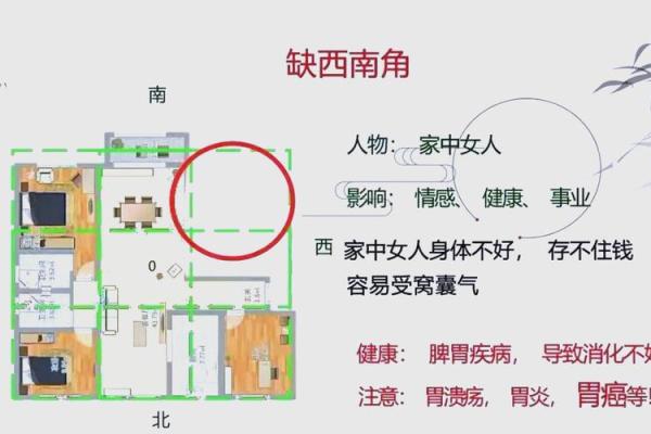 家居风水秘籍：女人专用风水布局，瞬间提升运势