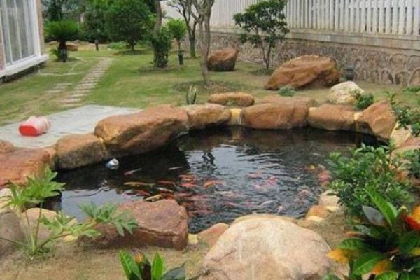 揭秘北方鱼池风水布局：方位决定财运亨通