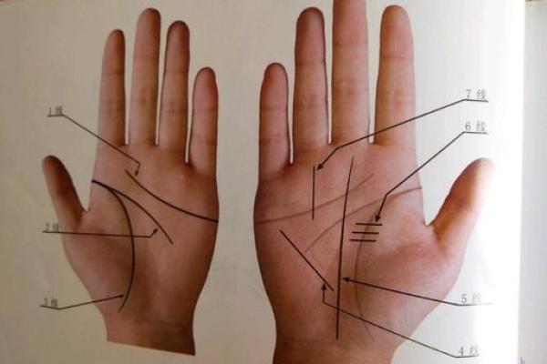掌中奥秘:揭秘手相的神奇力量 掌中奥秘:揭秘手相的神奇力量