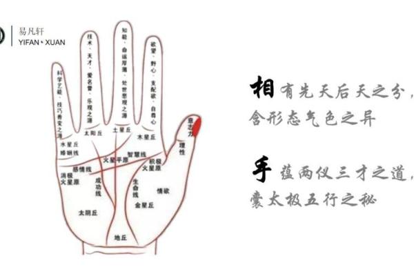 手相深度解析:揭秘掌中密码,深度好学! 手相深度解析:揭秘掌中密码,深度好学!