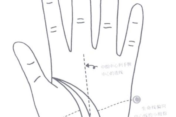 手相深度解析:揭秘掌中密码,深度好学! 手相深度解析:揭秘掌中密码,深度好学!