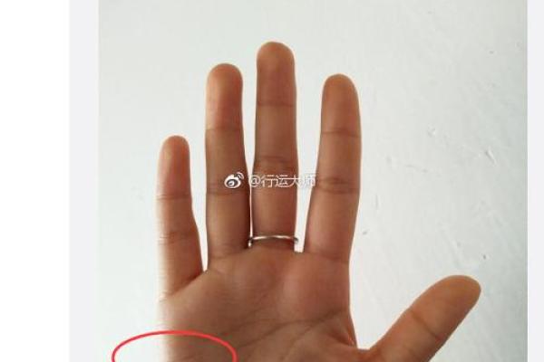 手相中的反抗纹:揭秘你的逆袭力量! 手相中的反抗纹:揭秘你的逆袭力量!