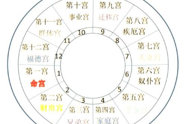 法令纹与命运：面相解读中的神秘密码