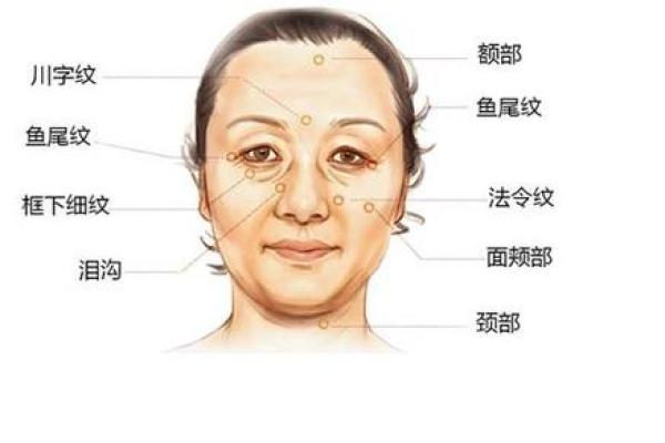 法令纹与命运：面相解读中的神秘密码
