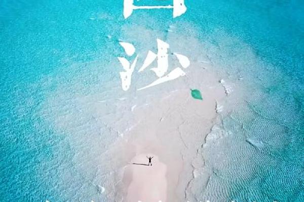 李沙沙：阳光沙滩，沙粒闪耀，人生璀璨如星辰