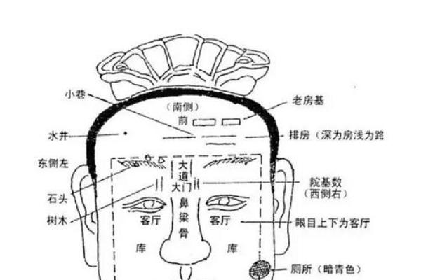面相秘诀：准头长痣揭秘财运与命运的奥秘