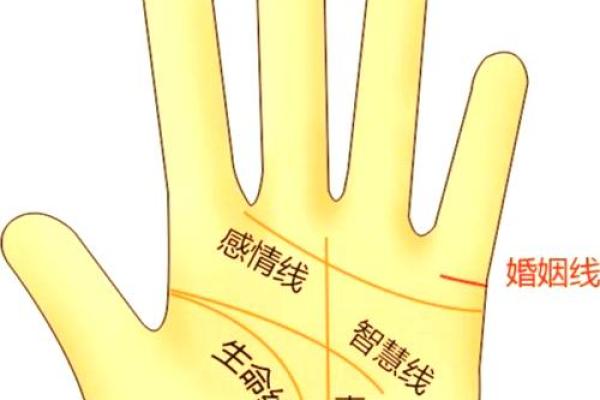 王者手相秘籍，财运亨通一触即发！