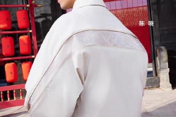 陈晓独家命理揭秘：运势大解析！
