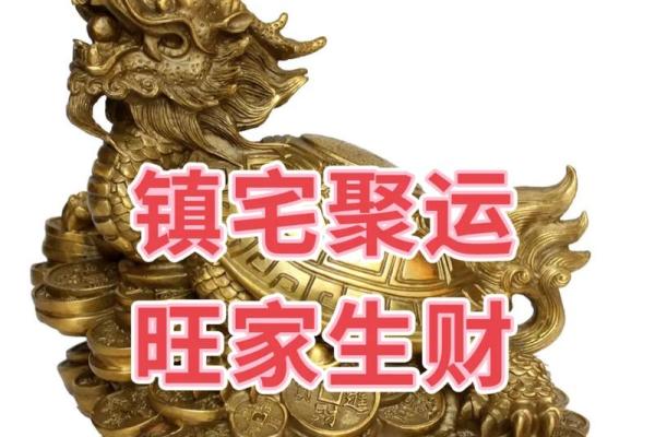 家中必备风水招财利器，龟局布局助你财运滚滚来！