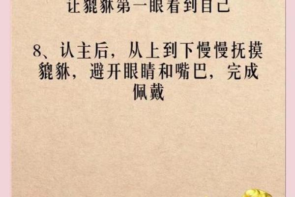 卧室貔貅摆放禁忌：揭秘家居风水提升秘籍快来收藏