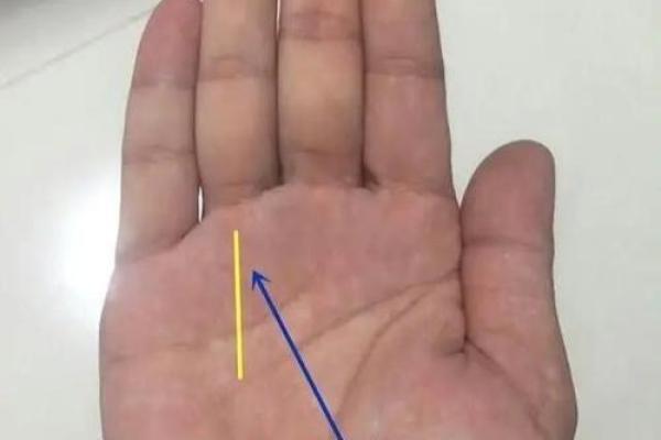 震撼揭秘：手相阴阳眼，预知未来的神秘力量！
