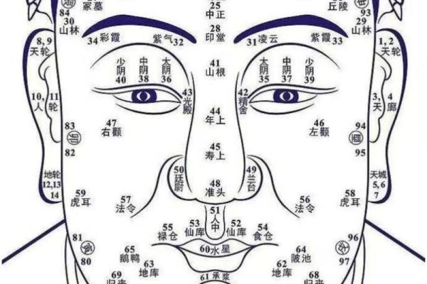 眉运面相：解读眉眼间的命运密码