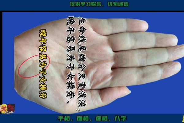 福德宫揭秘：手相中的财运密码