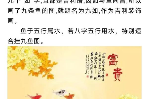阳宅风水揭秘：左右水口高低，风水大师教你如何趋吉避凶