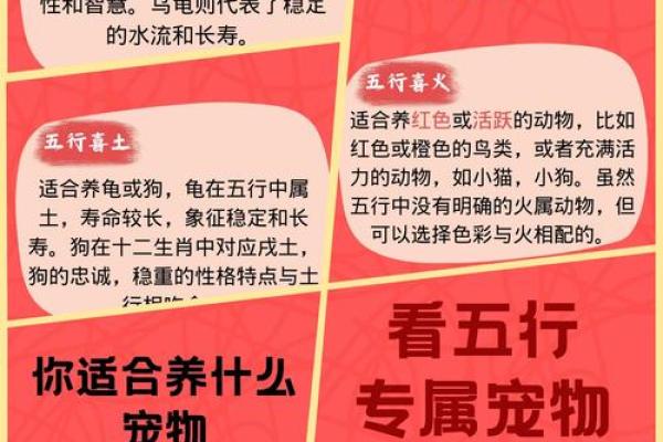 宇五行属性在中国传统文化中的地位