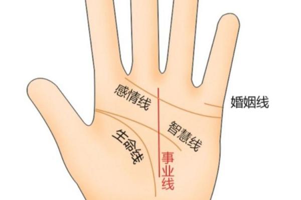 手相事业线曲折之谜，揭秘你的事业未来！