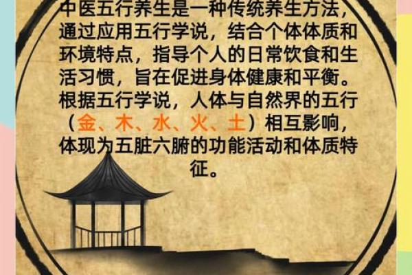启五行：如何通过五行平衡提升生活质量