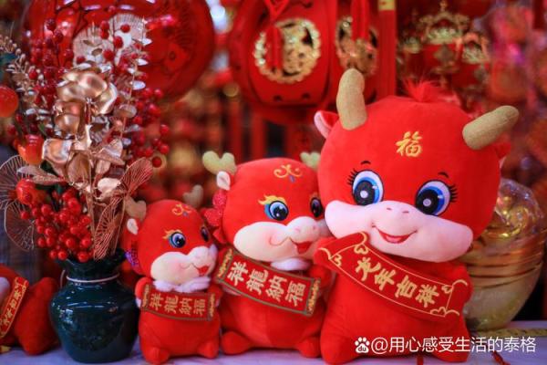 红红火火过大年，新春佳节乐翻天！