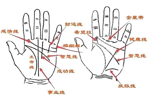 神秘转世:手相揭秘前世今生 神秘转世:手相揭秘前世今生