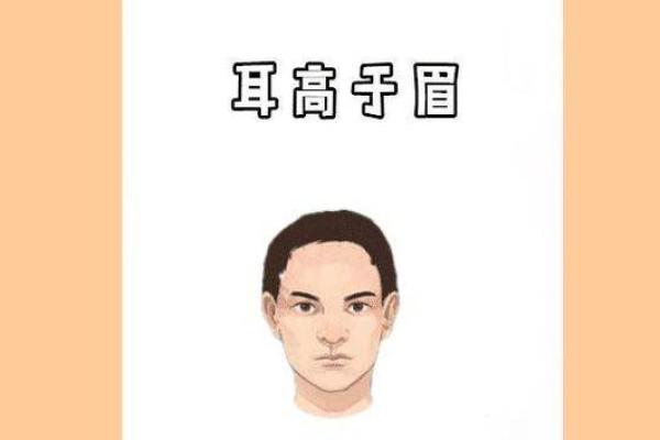 秀气男孩面相：揭秘帅气背后的秘密