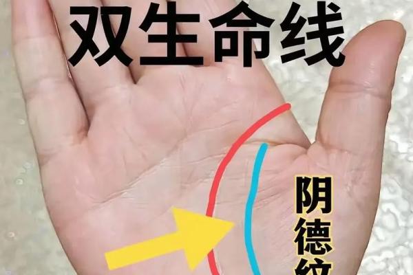 手相解析：揭秘你的好手相，开启财富人生！