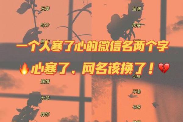 心字男孩名字的独特寓意与选取技巧