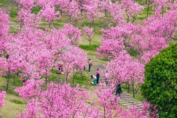三月二十一：春暖花开，民俗盛宴