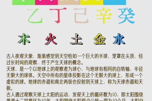 地支未的象征意义与文化解读