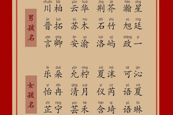 荆姓女孩名字精选：传统文化与现代审美的完美结合