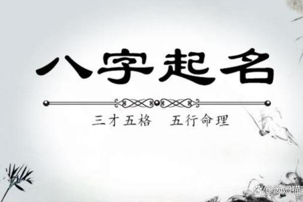 生辰八字与车颜色的神秘关联